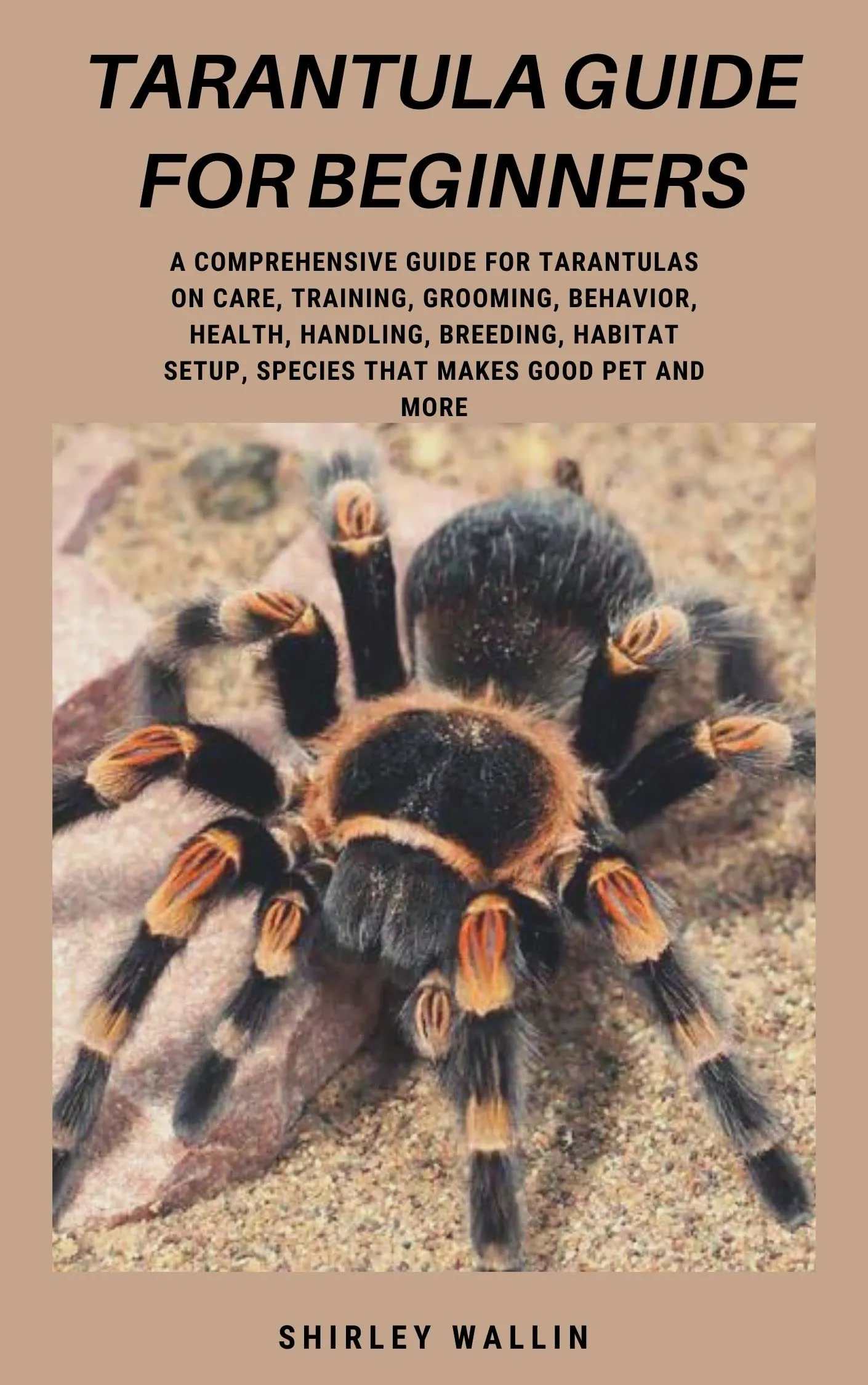 /img/15440-tarantula-molting.webp