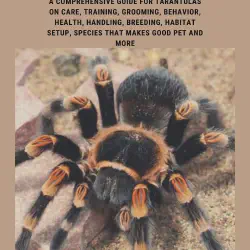 /img/15440-tarantula-molting.webp