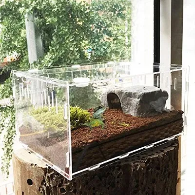 15445 hamster in enclosure