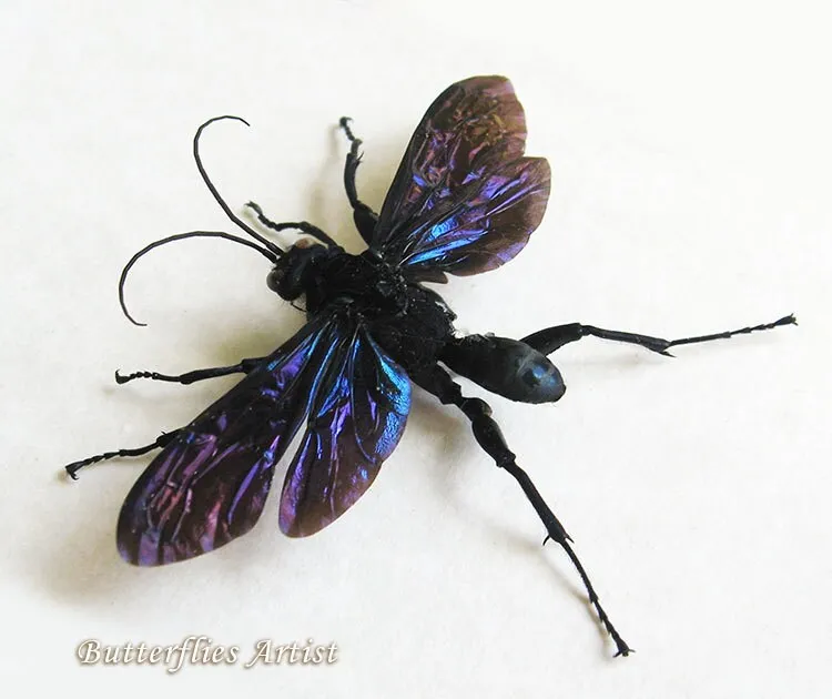 15450 professional pest control