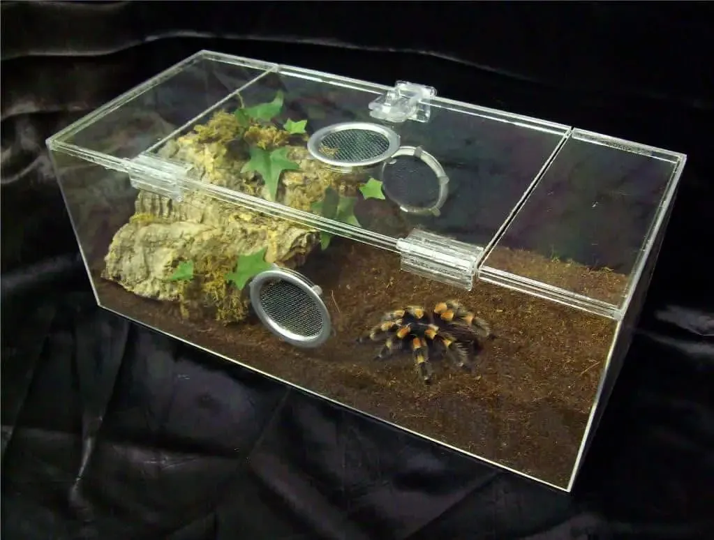 15453 tarantula enclosure ventilation