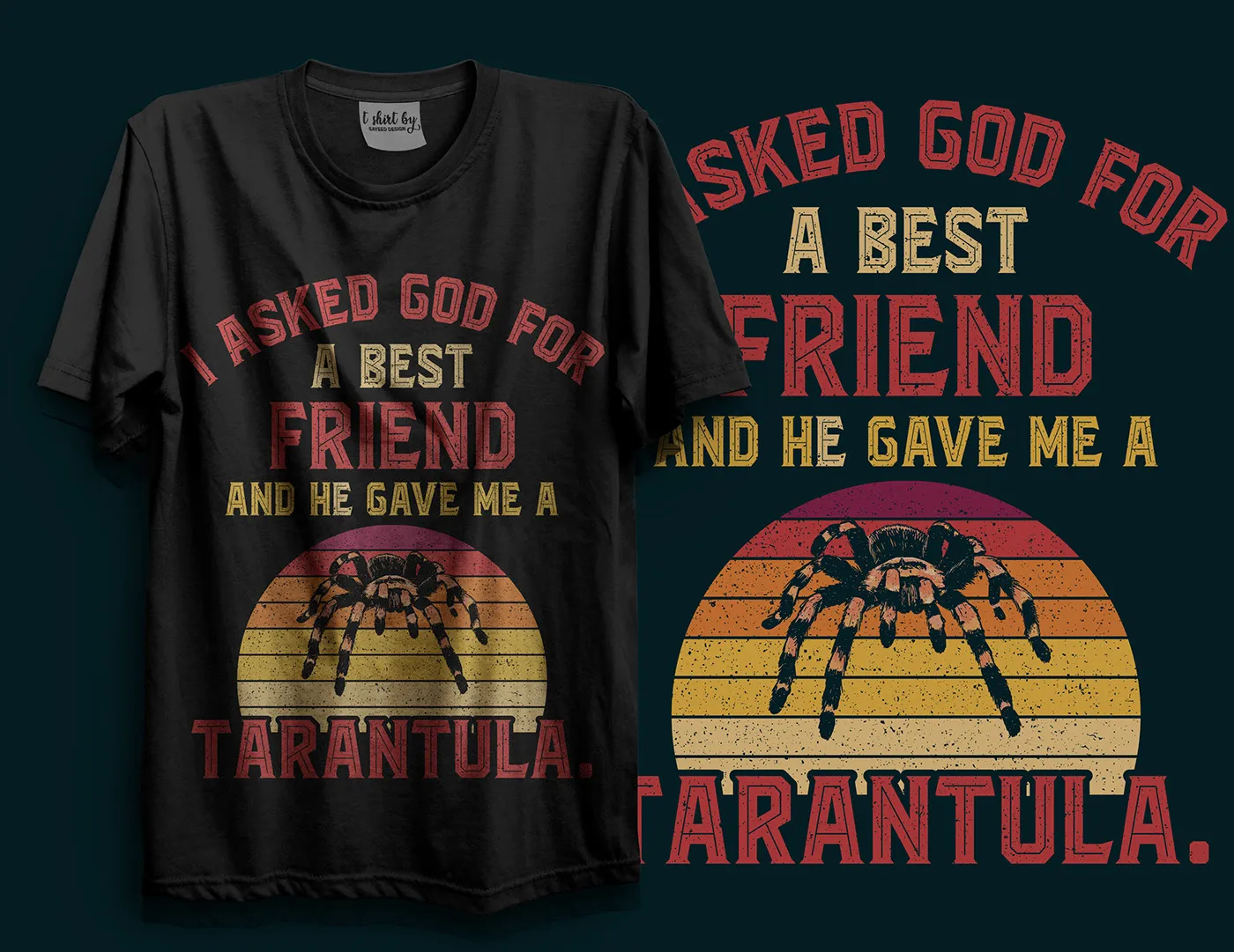 15463 british tarantula society member