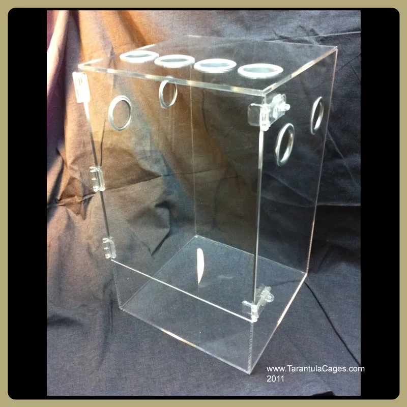 15467 acrylic tarantula cage visibility