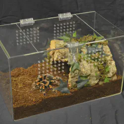 /img/15467-tarantula-cage-ventilation.webp