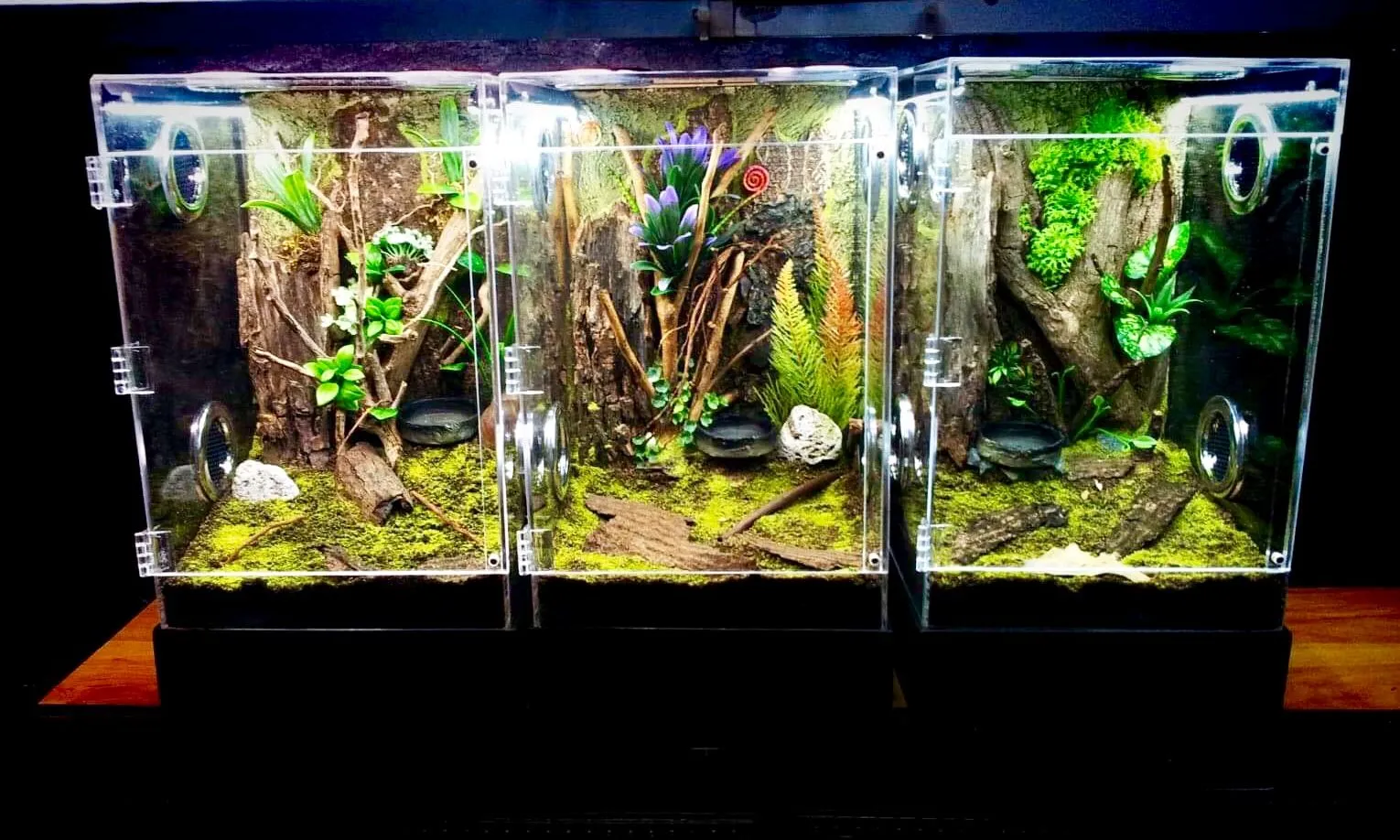 15467 tarantula humidity control