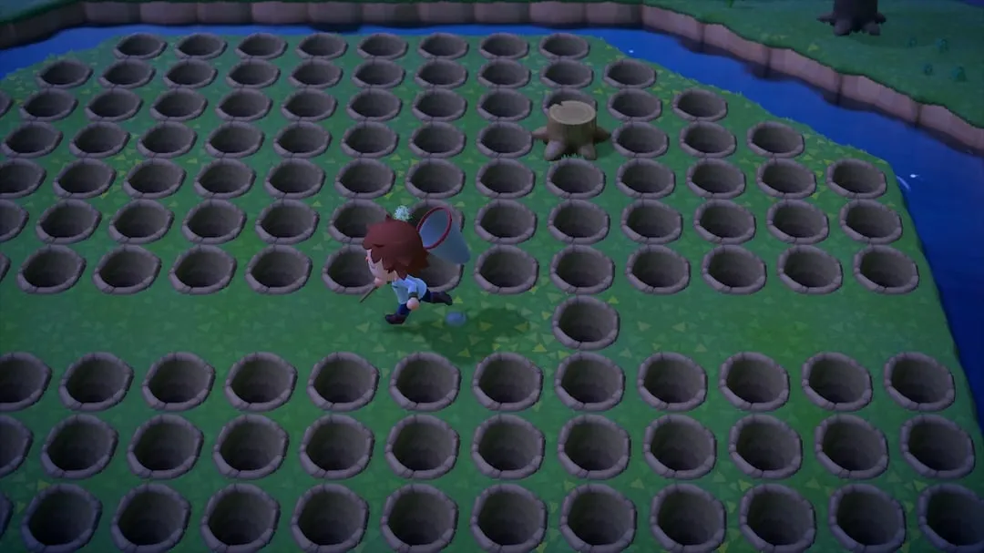 15470 essential tools tarantula farming