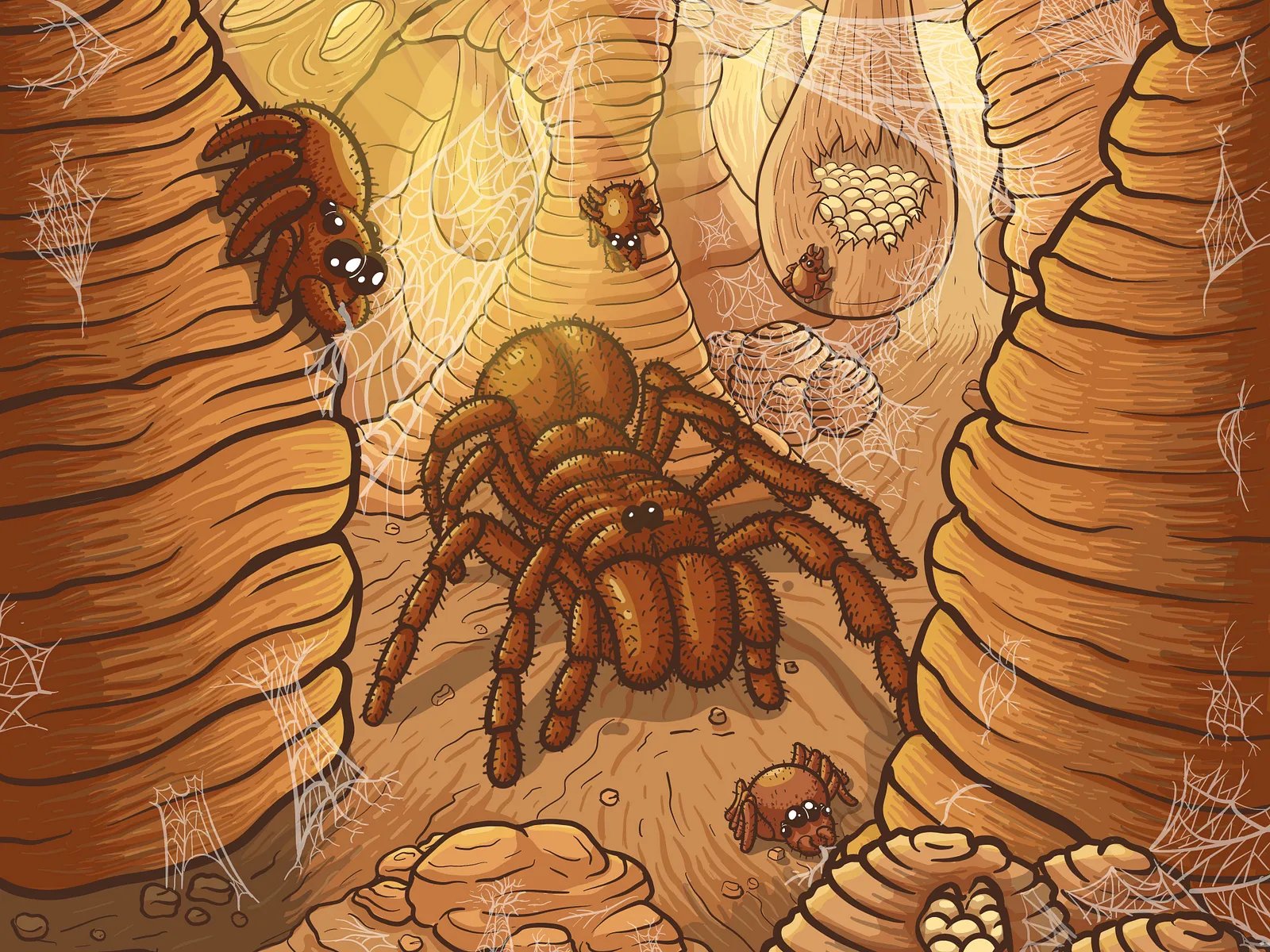 15473 tarantula lair planning