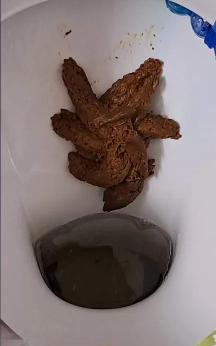 15477 tarantula enclosure cleaning