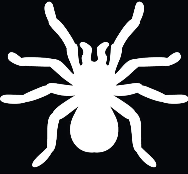 15497 chilean rose tarantula