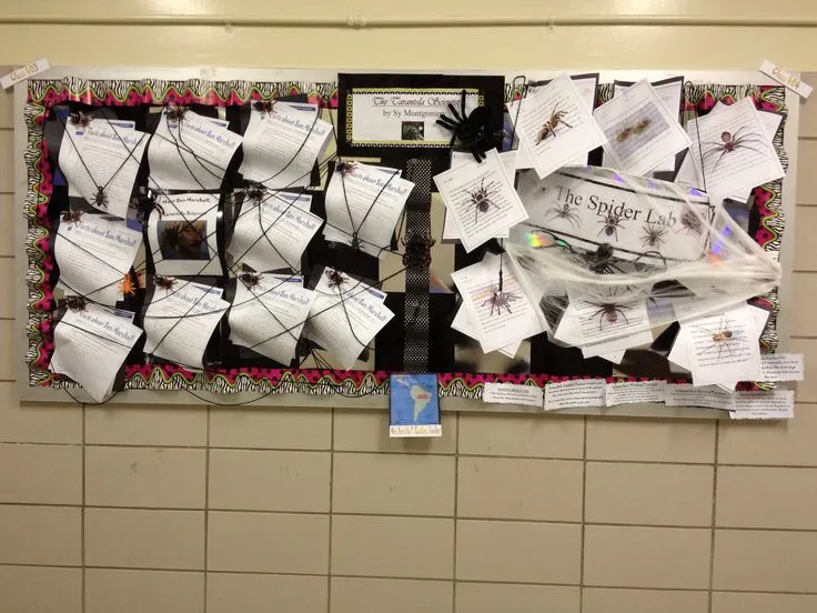 15500 tarantula feeding