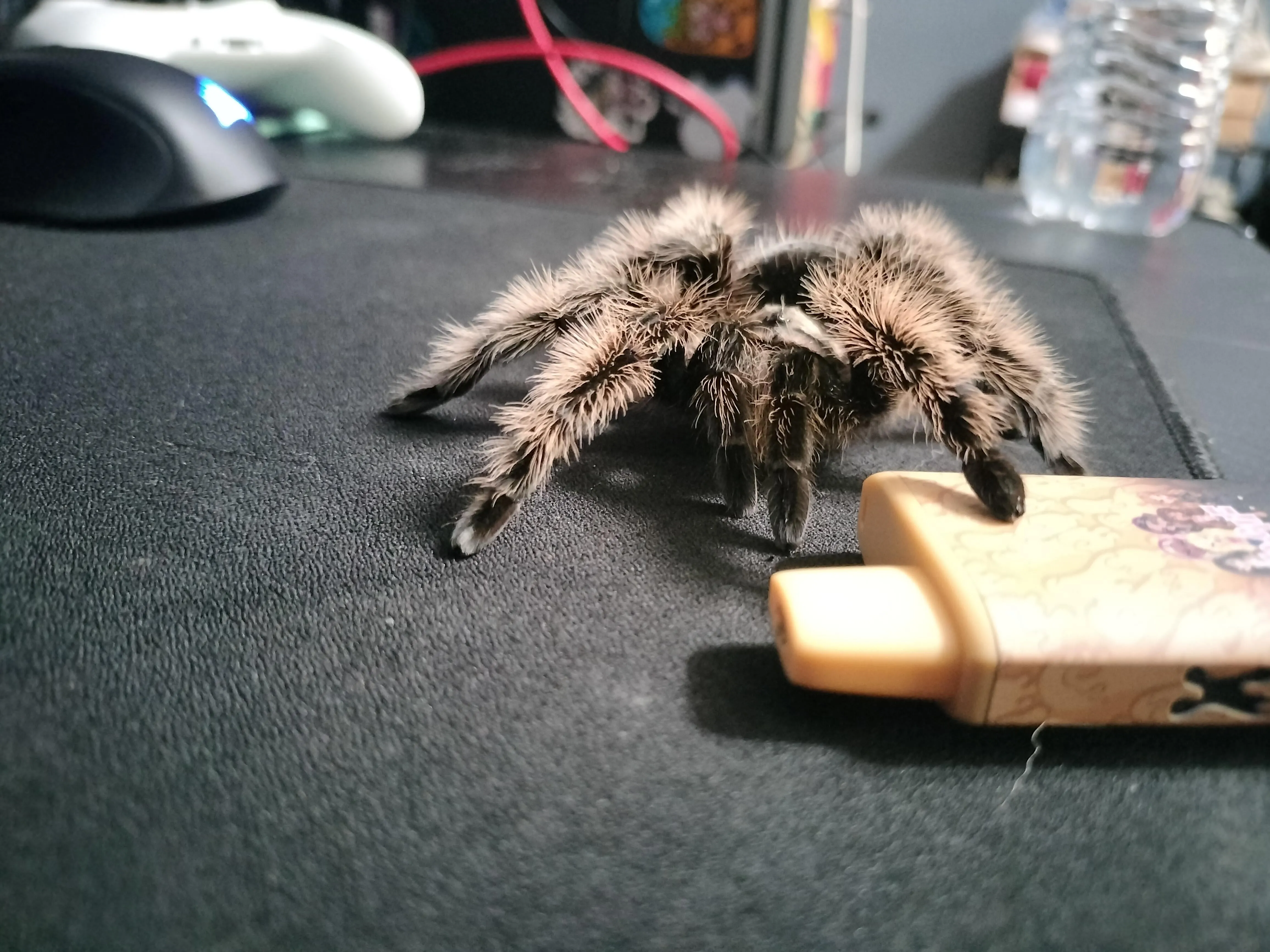 15509 thermometer hygrometer