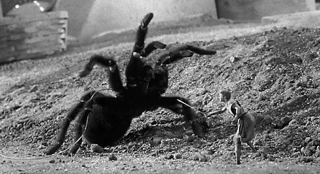 15512 giant tarantula 5e habitat image2